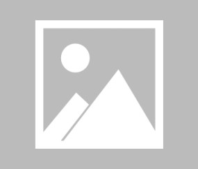 kaiyun官方-王者破壁时，Rookie登顶与皇马制胜的竞技哲学，跨越虚拟与现实的疆界，Rookie与皇马的巅峰竞技哲学